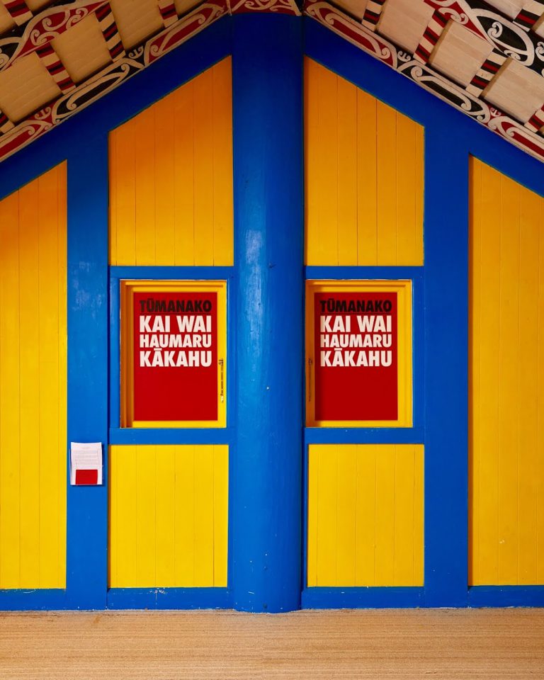 Billy Apple in collaboration with Tame Iti