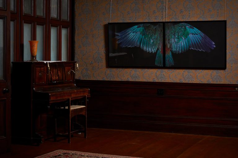 Fiona Pardington at historic Alberton House