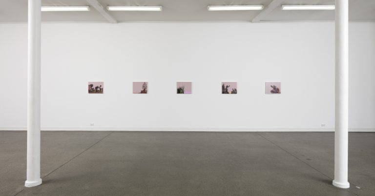 Whitney Bedford: Lost and Found