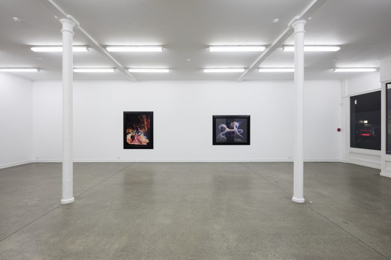 Fiona Pardington's 100% Unicorn at Starkwhite