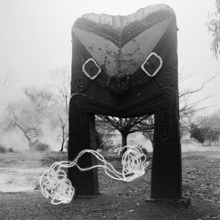 Gavin Hipkins: The Domain at the Dowse Art Museum