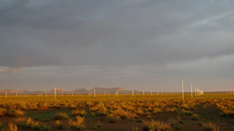 Larry Gagosian and Miucca Prada team up to fundraise for restoration of De Maria's Lightning Field