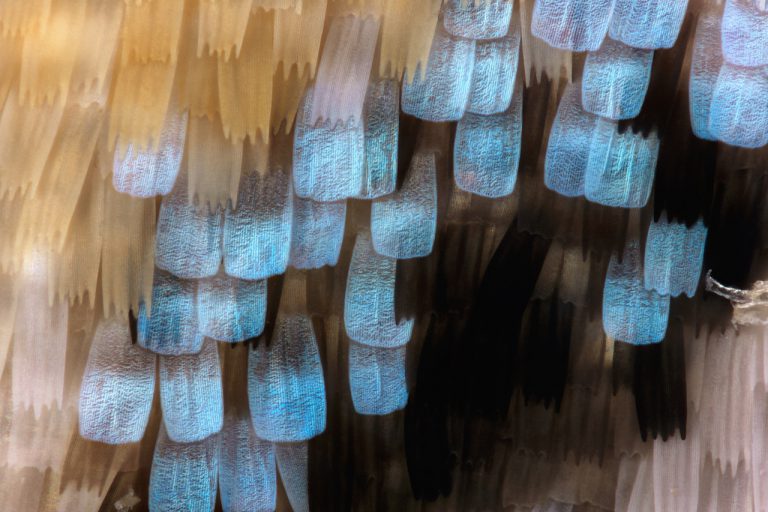 Starkwhite at Art Basel Hong Kong 2018