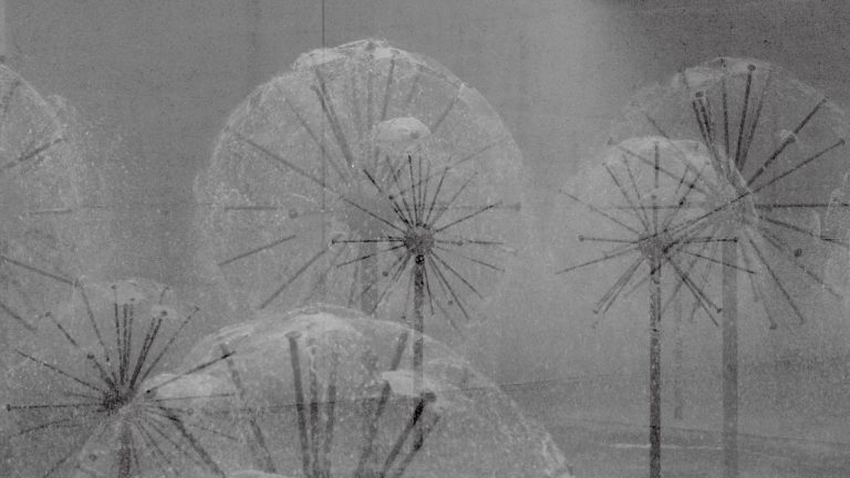 Gavin Hipkins selected for the 9th Asia Pacific Triennial