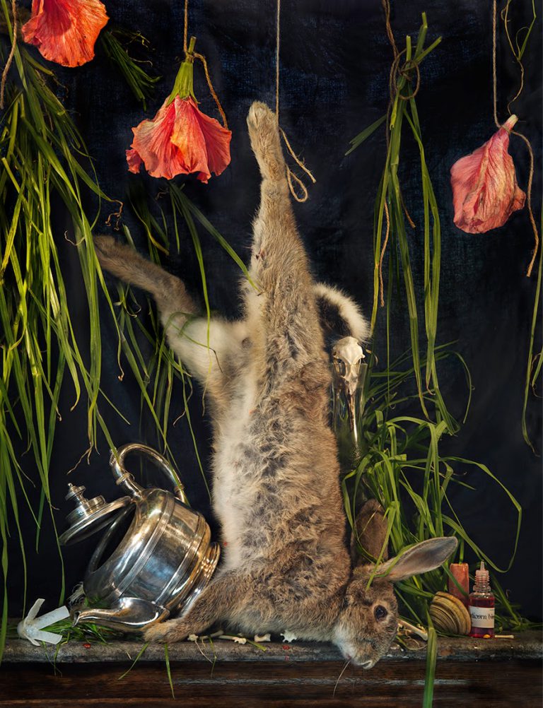 Fiona Pardington in Honolulu Biennial