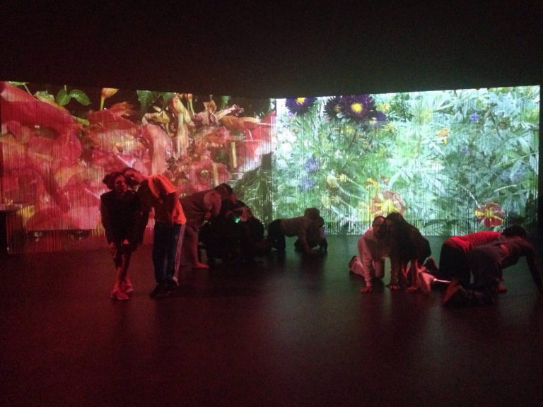 Stedelijk commissions new work from Alicia Frankovich