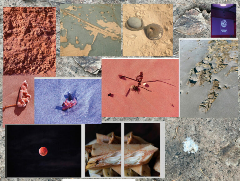 Alicia Frankovich ‘Atlas of Anti-Taxonomies’ at Christchurch Art Gallery Te Puna o Waiwhetū, New Zealand, 23 Feb to 22 May
