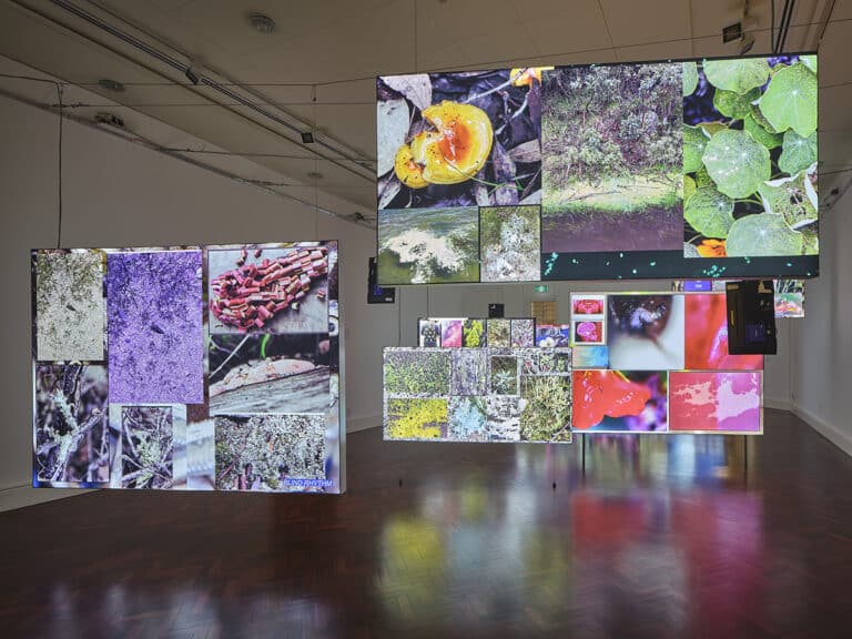 Alicia Frankovich in ‘Entanglements: Ecology After Nature’ at UQ Art Museum, Brisbane, Australia, 18 Feb 2025 – 14 June 2025