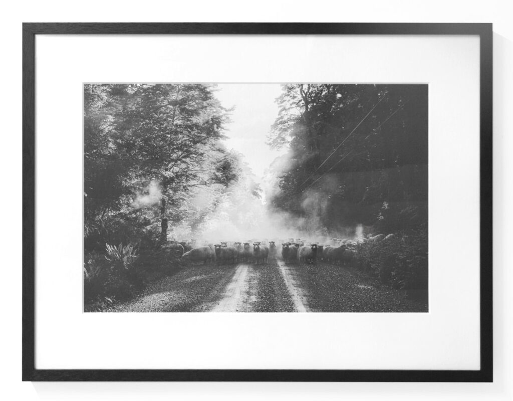 Limited edition fine art print of Marti Friedlander’s ‘Eglinton Valley, 1970’, launch at Starkwhite Queenstown from 5:30pm, Thursday 26 June