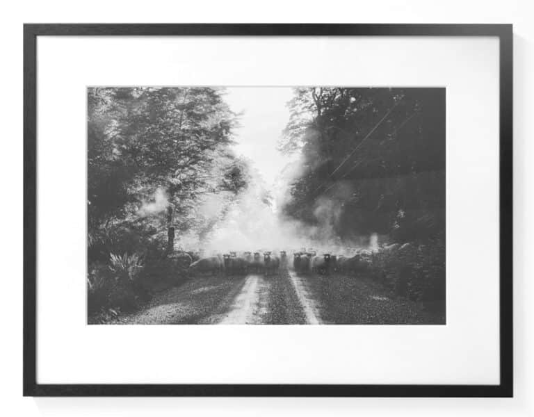 Limited edition fine art print of Marti Friedlander’s ‘Eglinton Valley, 1970’, launch at Starkwhite Queenstown from 5:30pm, Thursday 26 June